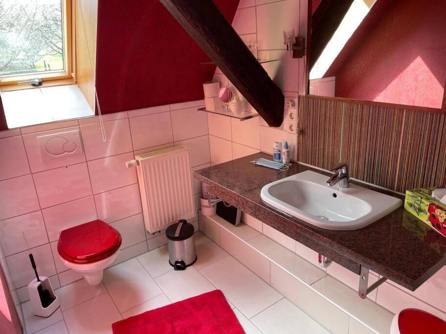 Traumhafte Maisonette-Wohnung Im Schwarzwald Freudenstadt Extérieur photo