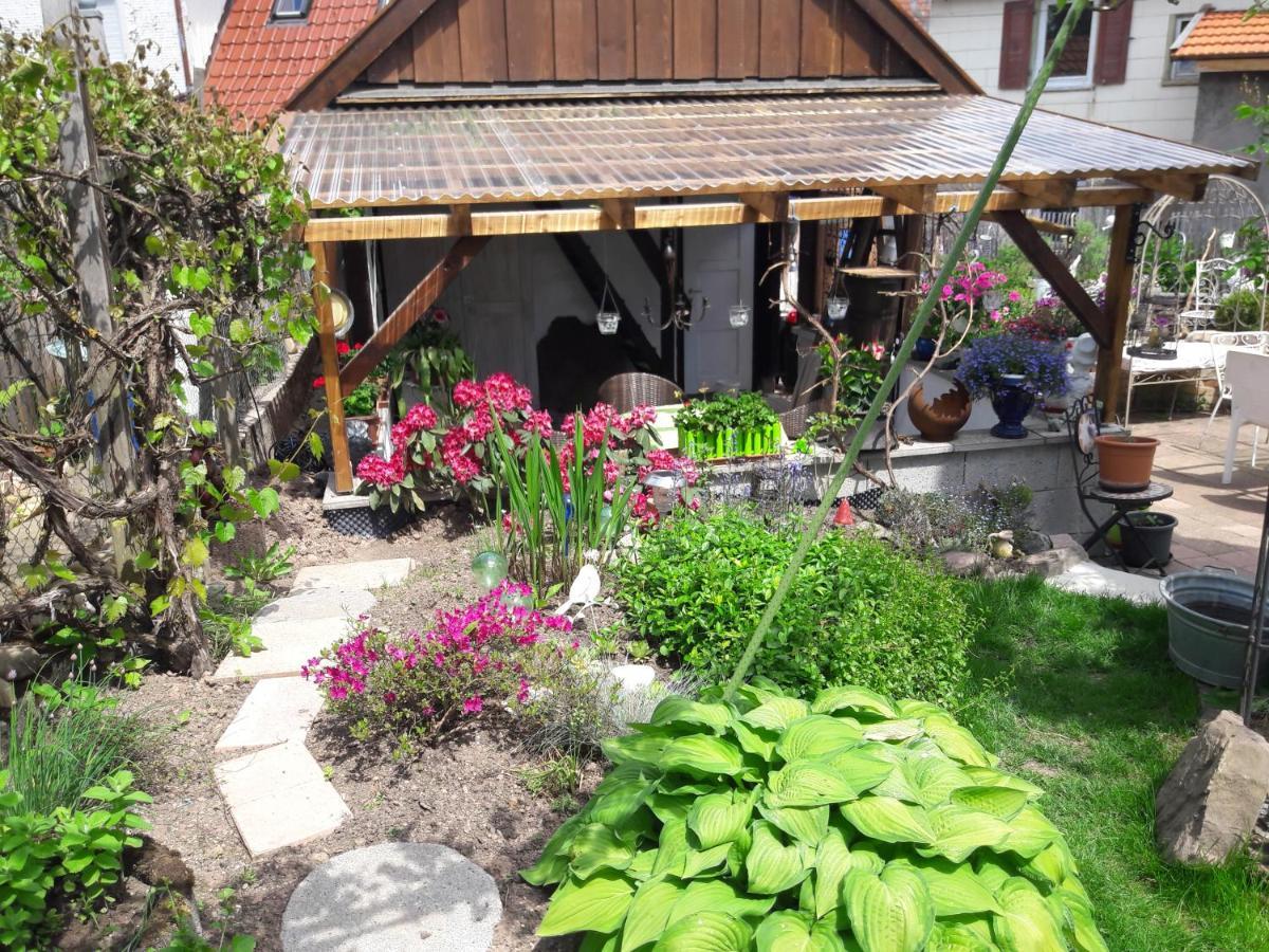 Traumhafte Maisonette-Wohnung Im Schwarzwald Freudenstadt Extérieur photo